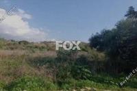5937 SQM Land in Polemi (Paphos) for sale 