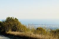 4014 SQM Land in Koili (Paphos) for sale 