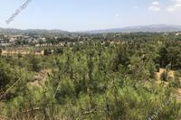 3144 SQM Plot in Kornos (Larnaca) for sale 