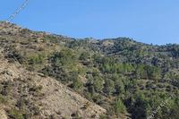 26552 SQM Land · Farmakas (Nicosia) for sale 