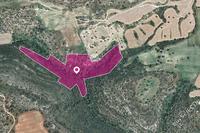 20068 SQM Land in Agios Theodoros Larnacas (Larnaca) for sale 