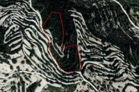 10703 SQM Land in Koili (Paphos) for sale 