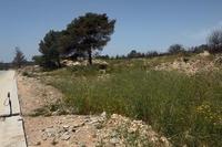 750 SQM Plot in Souni Zanakia (Limassol) for sale 