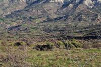 2342 SQM Land · Kelokedara (Paphos) for sale 