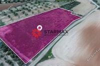8938 SQM Land in Latsia (Nicosia) for sale 
