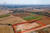 3116 SQM Land in Kokkinotrimithia (Nicosia) for sale 