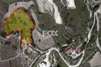 4683 SQM Land · Stroumbi (Paphos) for sale 