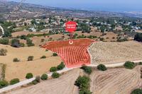 7693 SQM Land in Pano Akourdalia (Paphos) for sale 