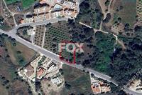 1463 SQM Land in Argaka (Paphos) for sale 
