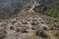 74584 SQM Land in Agios Therapon (Limassol) for sale 