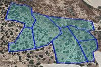 45000 SQM Land · Pyrgos Limassol (Limassol) for sale 