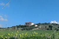 4 Bedroom Detached house in Monagroulli (Limassol) to rent 