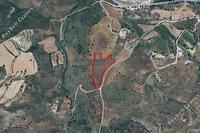 4683 SQM Land in Nata (Paphos) for sale 