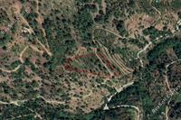7024 SQM Land · Gerakies (Nicosia) for sale 