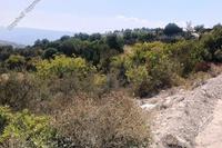 27091 SQM Land · Peristerona Pafou (Paphos) for sale 
