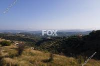 11313 SQM Land in Psathi (Paphos) for sale 