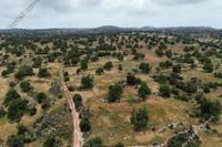 12041 SQM Land · Pachna (Limassol) for sale 