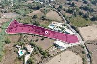 8362 SQM Land in Drousia (Paphos) for sale 