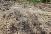 457 SQM Plot in Ormideia (Larnaca) for sale 