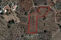 7693 SQM Land · Kornos (Larnaca) for sale 