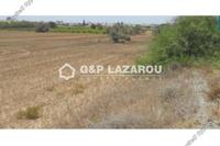 5830 SQM Land · Mazotos (Larnaca) for sale 
