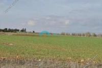 4972 SQM Land in Frenaros (Famagusta) for sale 