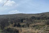 7098 SQM Land in Galataria (Paphos) for sale 
