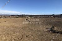 17726 SQM Land in Malounta (Nicosia) for sale 