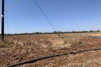 8343 SQM Land in Frenaros (Famagusta) for sale 