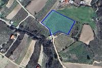 4683 SQM Plot · Omodos (Limassol) for sale 
