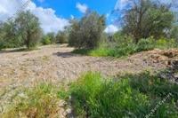 2142 SQM Land · Drynia (Paphos) for sale 