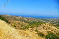 11400 SQM Land · Pigenia (Nicosia) for sale 