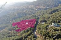 9481 SQM Land in Pano Platres (Limassol) for sale 