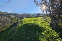 7600 SQM Land · Kelokedara (Paphos) for sale 