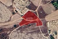 4460 SQM Plot in Geri (Nicosia) for sale 