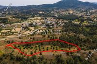 11706 SQM Land in Shia (Nicosia) for sale 