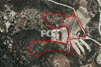 27091 SQM Land · Dora (Limassol) for sale 