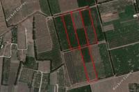 39744 SQM Land in Akrotiri (Limassol) for sale 
