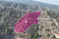 15720 SQM Land · Galata (Nicosia) for sale 
