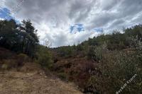 5017 SQM Land · Gourri (Nicosia) for sale 
