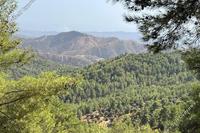 28429 SQM Land in Vavatsinia (Larnaca) for sale 