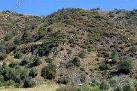 3011 SQM Land · Pomos (Paphos) for sale 