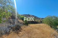 13241 SQM Land in Tsada (Paphos) for sale 