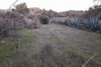 1320 SQM Land in Politiko (Nicosia) for sale 