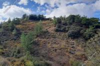 8027 SQM Land · Odou (Larnaca) for sale 