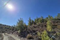 9700 SQM Land · Kapedes (Nicosia) for sale 