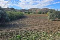 2861 SQM Land · Troulloi (Larnaca) for sale 