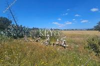 21938 SQM Land in Geri (Nicosia) for sale 