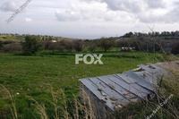 7023 SQM Land · Anogyra (Limassol) for sale 