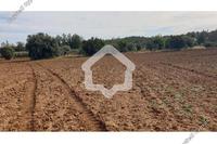 4014 SQM Land in Klirou (Nicosia) for sale 